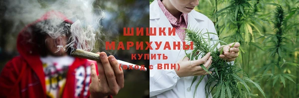 ПСИЛОЦИБИНОВЫЕ ГРИБЫ Алзамай