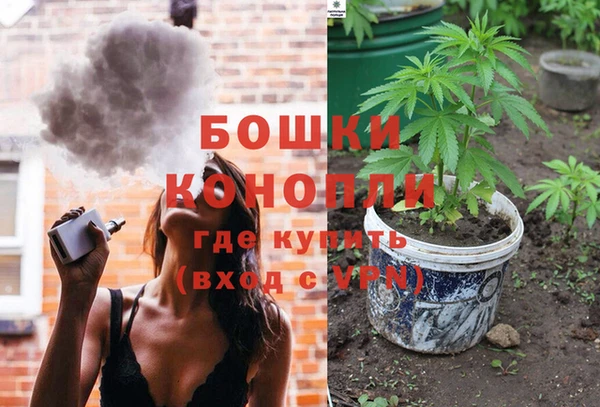 дмт Алексин