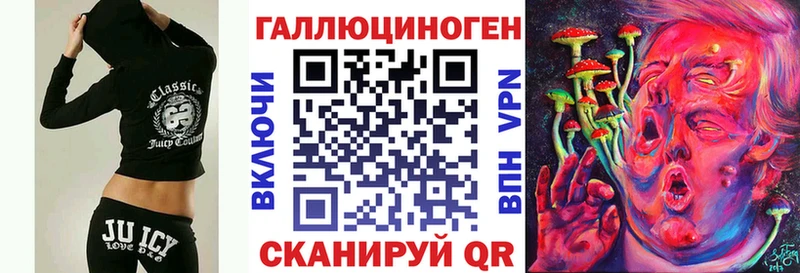 Псилоцибиновые грибы Psilocybine cubensis  Казань 
