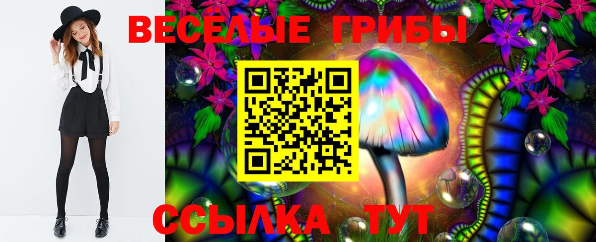 Галлюциногенные грибы Magic Shrooms Казань