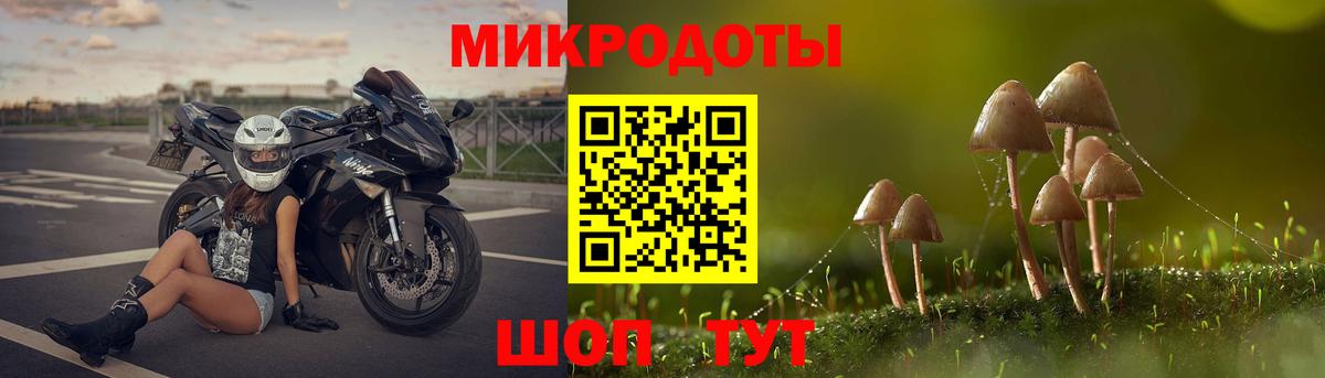 Псилоцибиновые грибы прущие грибы  Вход с VPN  Казань  Галлюциногенные грибы GOLDEN TEACHER 