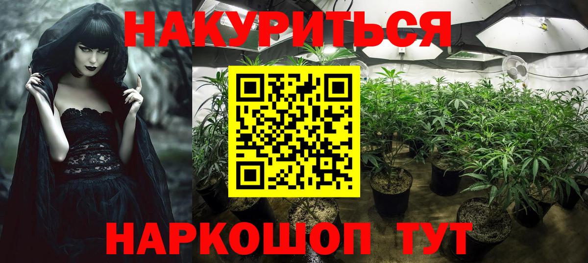 Казань  Шишки марихуана ГИДРОПОН  Вход с VPN  Конопля конопля 